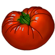 Logo de Tomate Sarabia